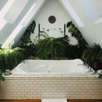 At bringe planter ind i sit badeværelse, kan være en må at skabe ro og atmosfære i sit badeværelse, her vist med spabad med et 1.sals badeværelse og skråvægge At bringe planter ind i sit badeværelse, kan være en må at skabe ro og atmosfære i sit badeværelse, her vist med spabad med et 1.sals badeværelse og skråvægge